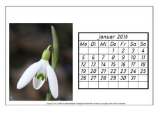 Kalender-2015.pdf
